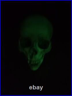 Randotti Skull Disneyland Haunted Mansion Halloween 847 1974 Glows Dark A+